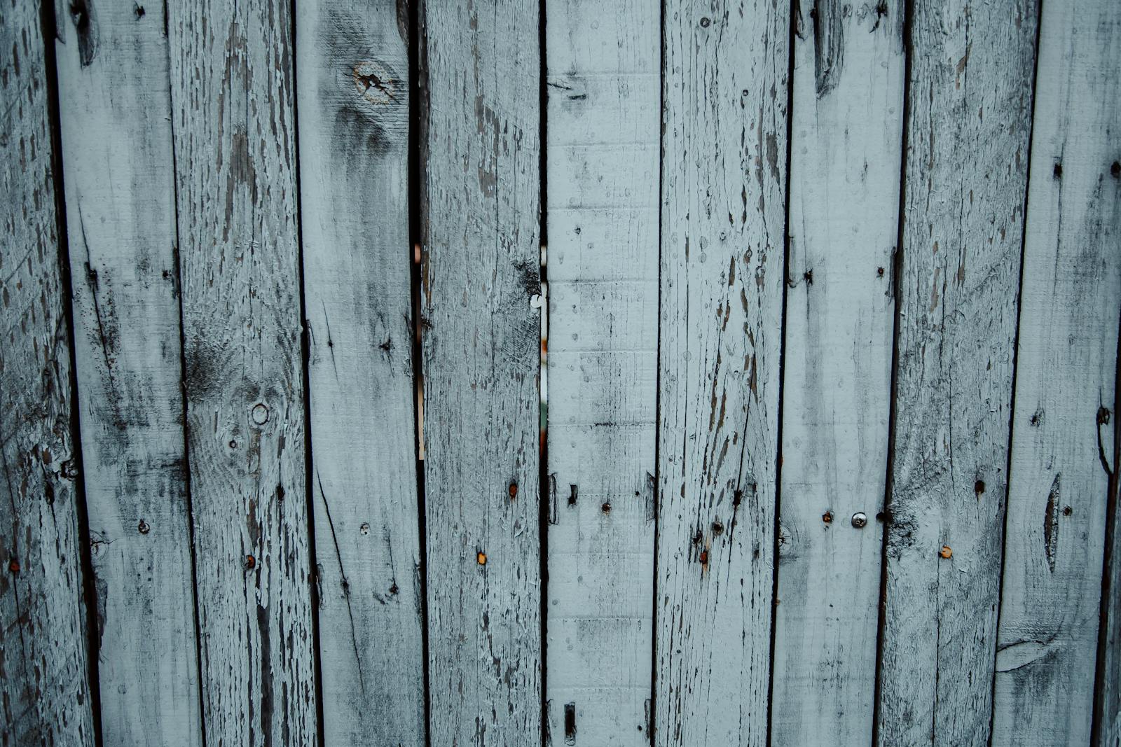 Shabby gray wooden fence in countryside